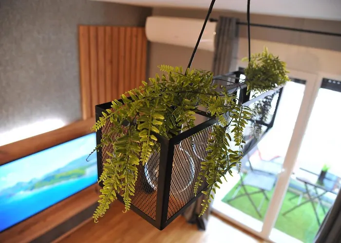 Ljubica * Vrnjacka Banja